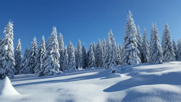 Jakuszyce 2015