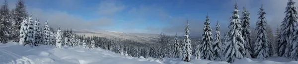 Jakuszyce 2015